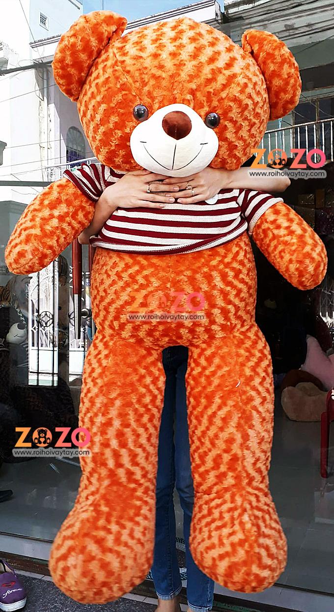 5-gau-bong-1m6-teddy-size-1m6-mau-cam | Gấu bông Cần Thơ