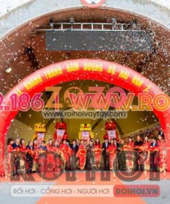 Cổng hơi giá rẻ