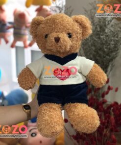 Gấu Bông Teddy Hug Me - Teddy Hug Me | Thegioihoahong.com