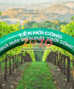 Alternative view of Cổng hơi khai trương