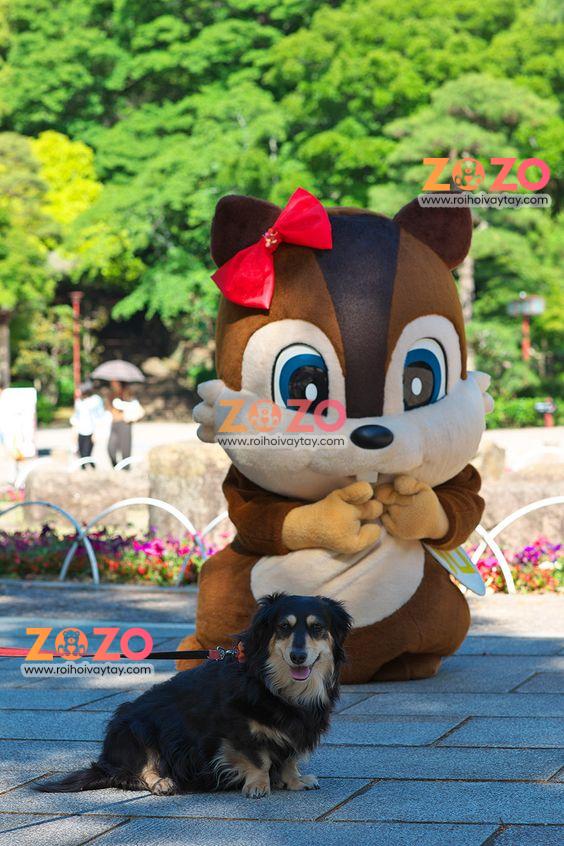 mascot soc 4